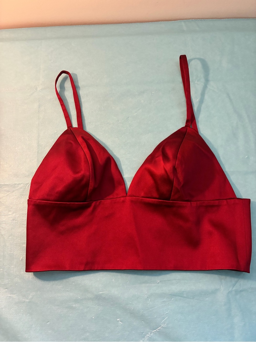 GUESS BY MARCIANO Red Satin Longline Bralette Crop Top Back Zip Size 6